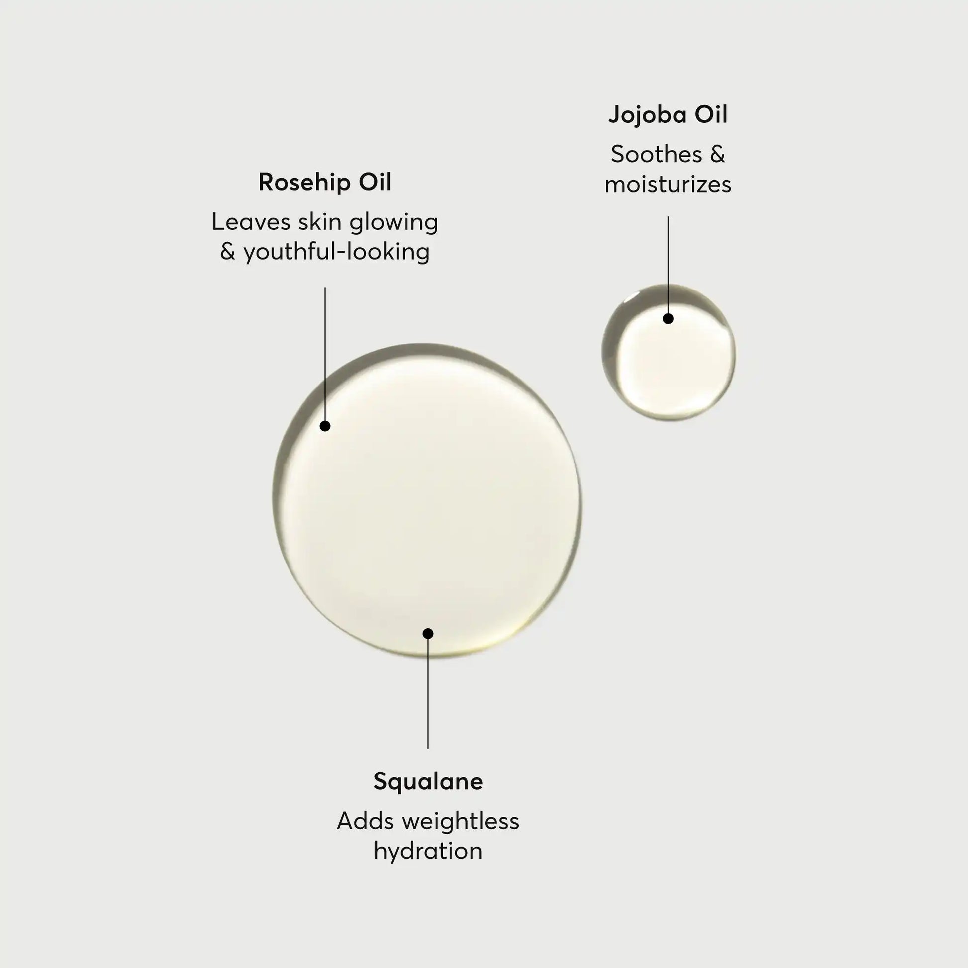 the-glow-getter-body-oil-b8 NATR-10115-Alt-Images-The-Glow-Getter-Body-Oil-01.webp