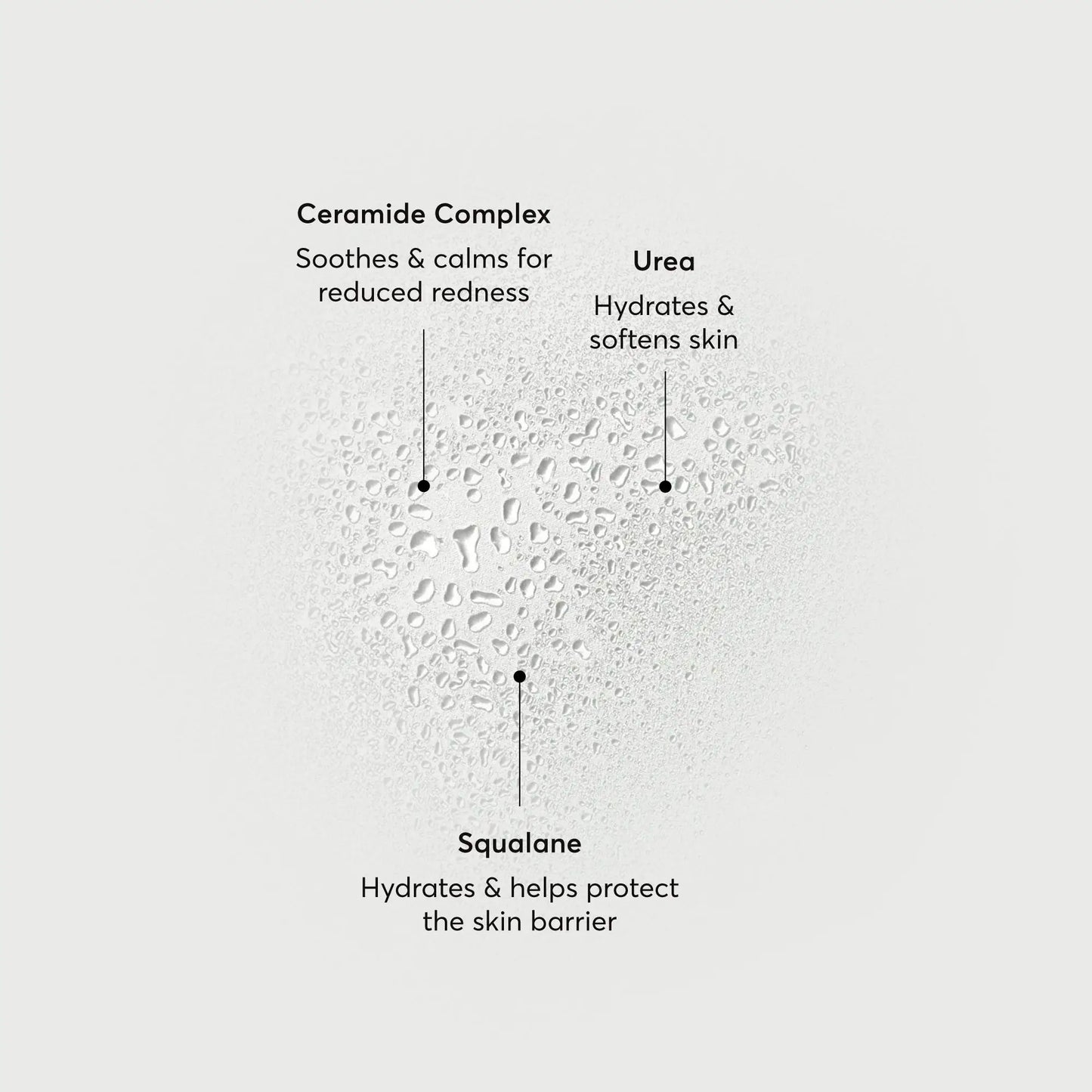 barrier-bounce-bi-phase-mist-b6 NATR-10167-Alt-Images-Barrier-Bounce-Bi-Phase-Toner-Mist_01.webp