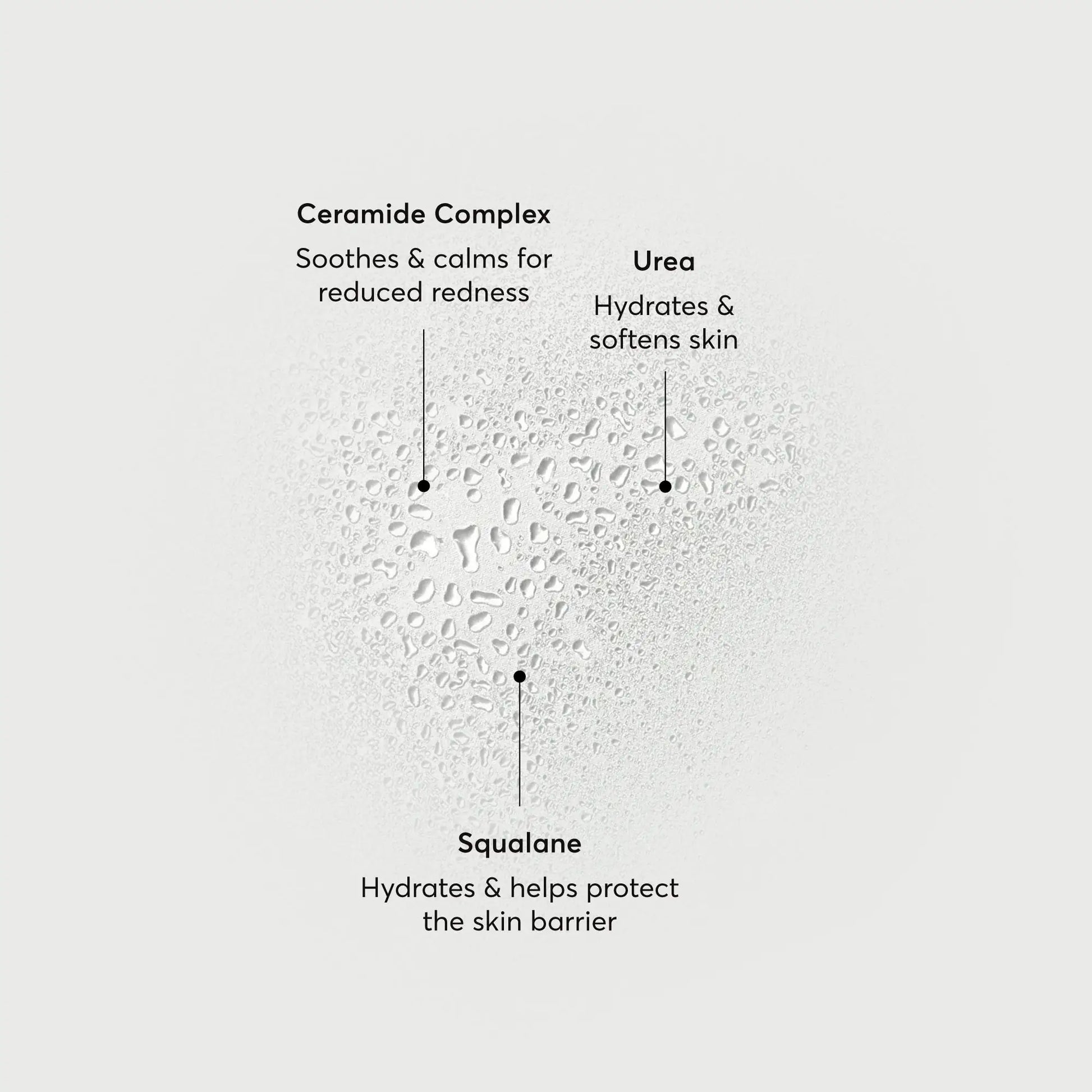 barrier-bounce-bi-phase-mist-b6 NATR-10167-Alt-Images-Barrier-Bounce-Bi-Phase-Toner-Mist_01.webp