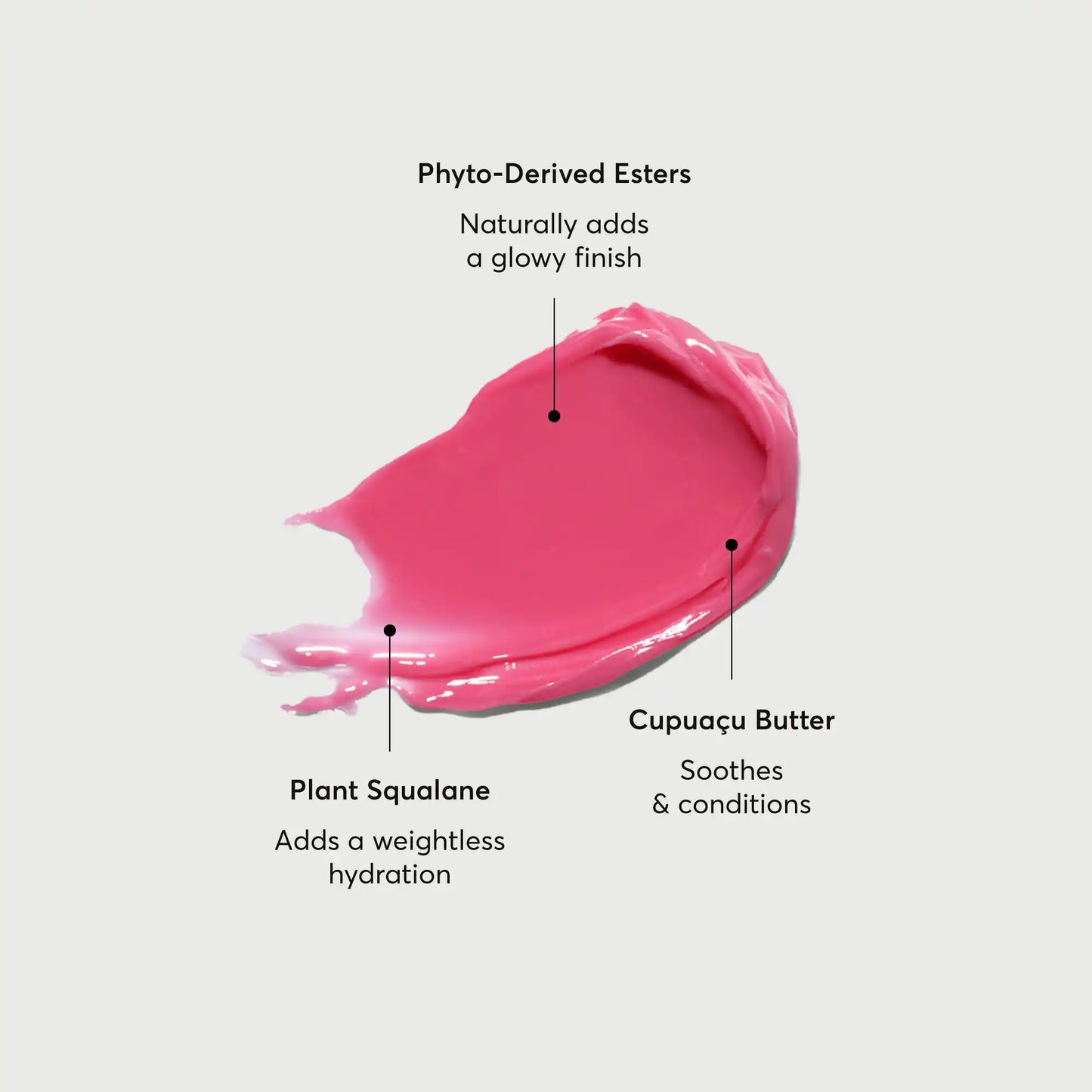 phyto-glow-lip-balm-camellia-u4 NATR-60075-Alt-Images-Phyto-Glow-Lip-Balm-Camellia-01.webp